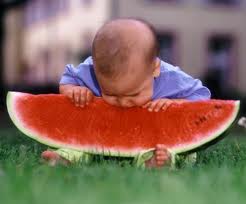 melon